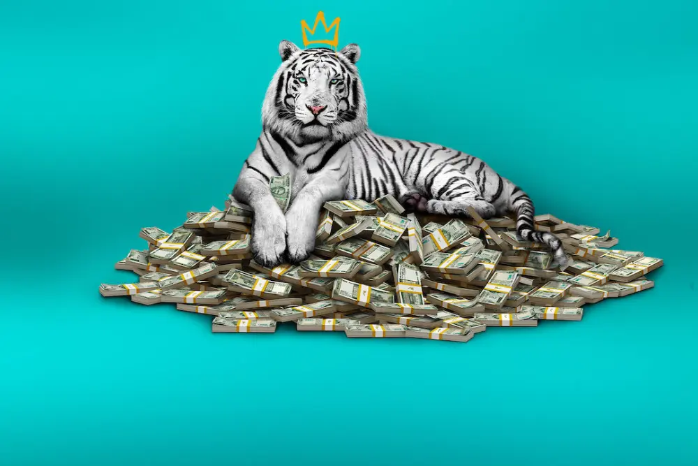 Le Tigre Blanc : 6 leçons de vie pour ceux qui veulent briser leurs chaînes
